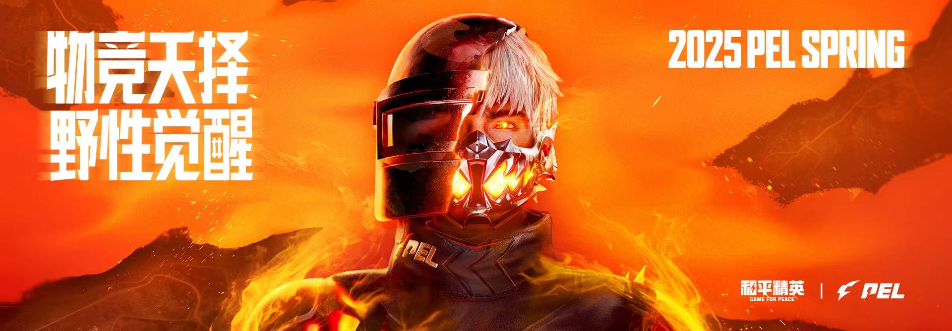 和平精英辅助市场：不法交易的暗流